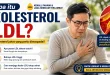 kolesterol LDL